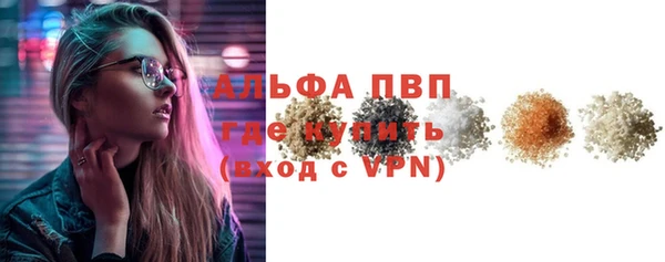 индика Чекалин