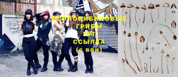 экстази Медвежьегорск